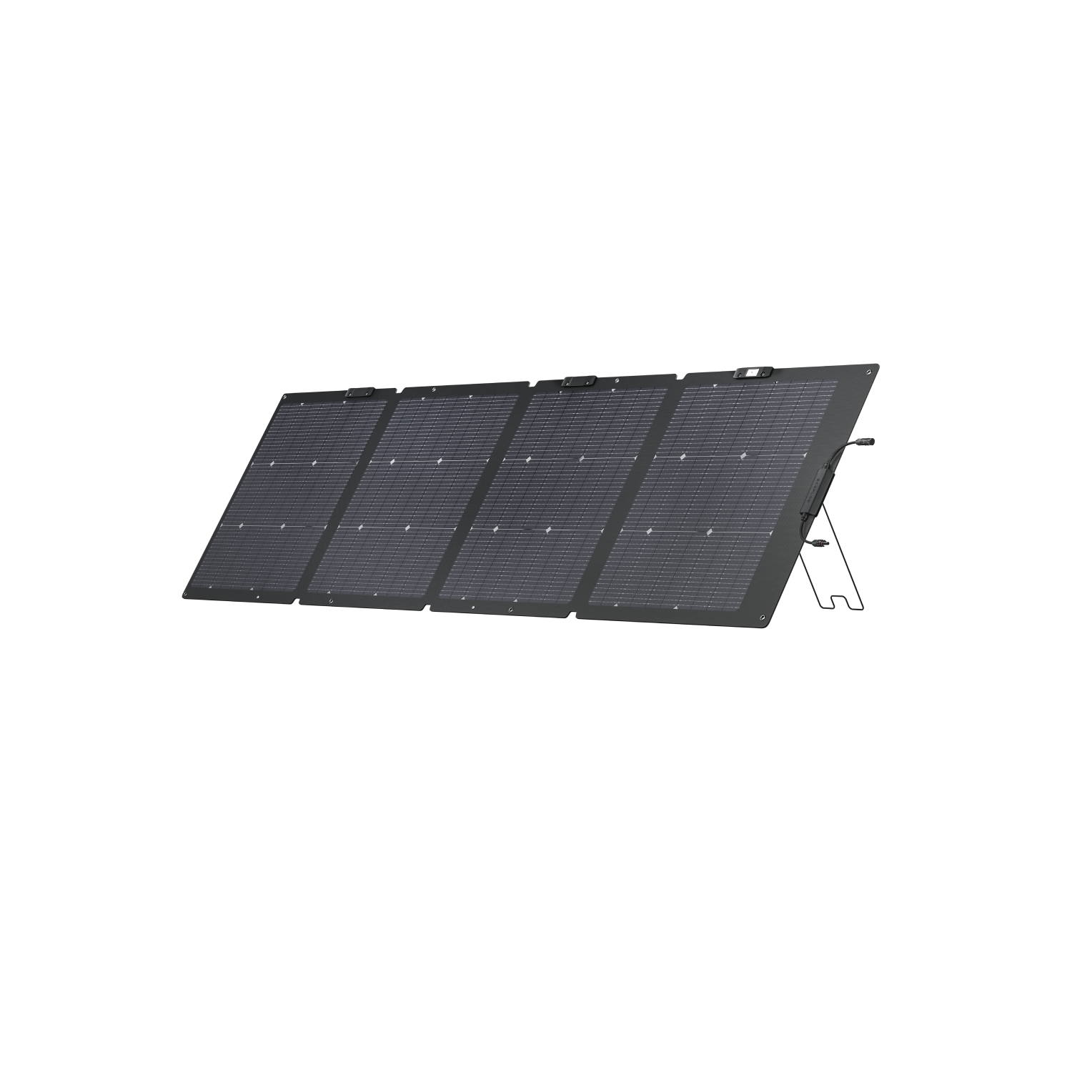 EcoFlow DELTA 2 + 220W Bifacial Solar Panel